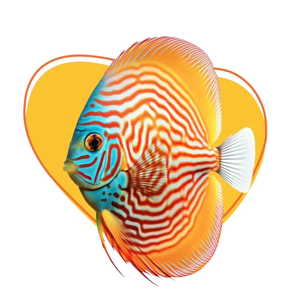 Fish_homepage_section