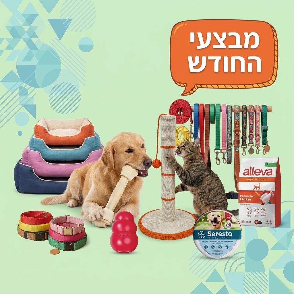 מבצעי חודש