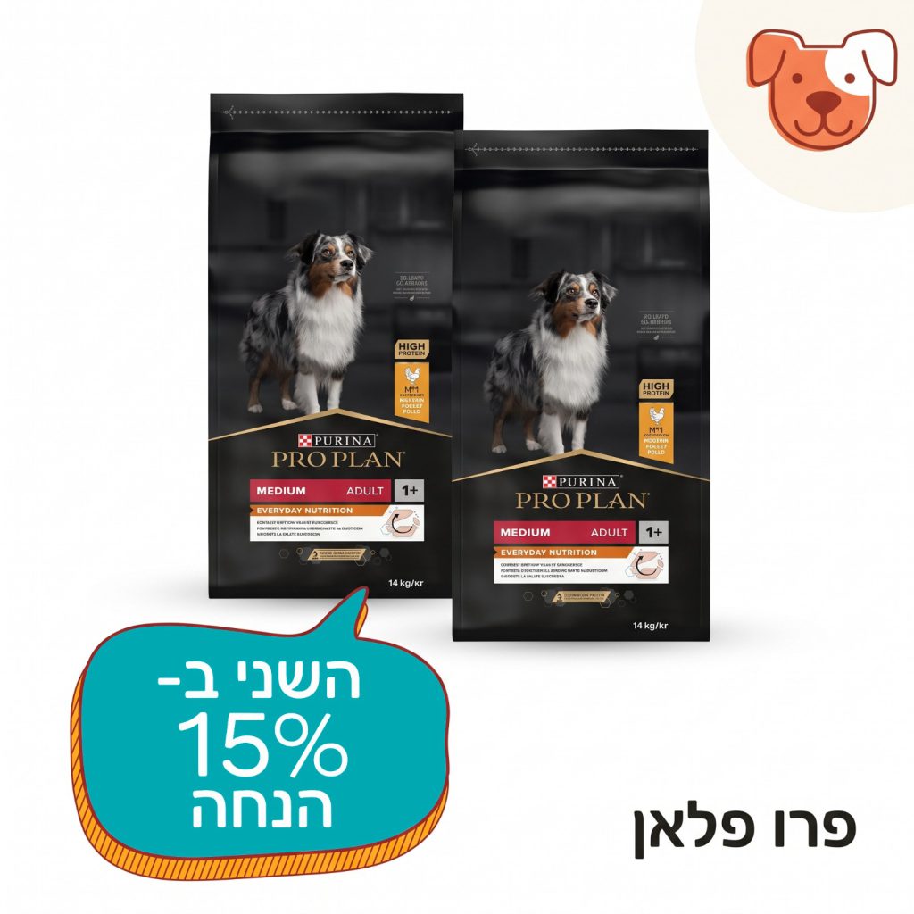 https://speedog.co.il/tag/%d7%99%d7%95%d7%9c%d7%99-2026-%d7%a4%d7%a8%d7%95-%d7%a4%d7%9c%d7%90%d7%9f-%d7%9b%d7%9c%d7%91-%d7%9e%d7%96%d7%95%d7%9f-%d7%99%d7%91%d7%a9-%d7%94%d7%a9%d7%a0%d7%99-%d7%9115/