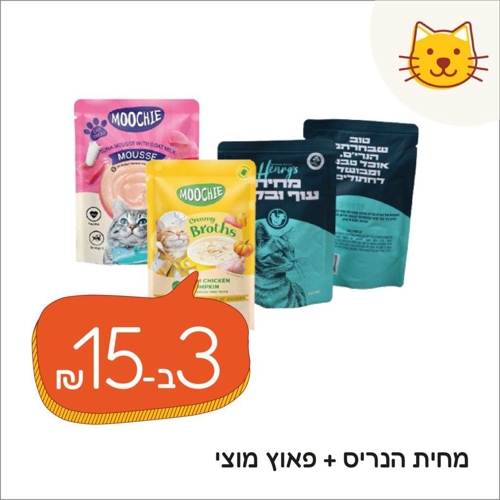 חתולים יולי 2 (1)
