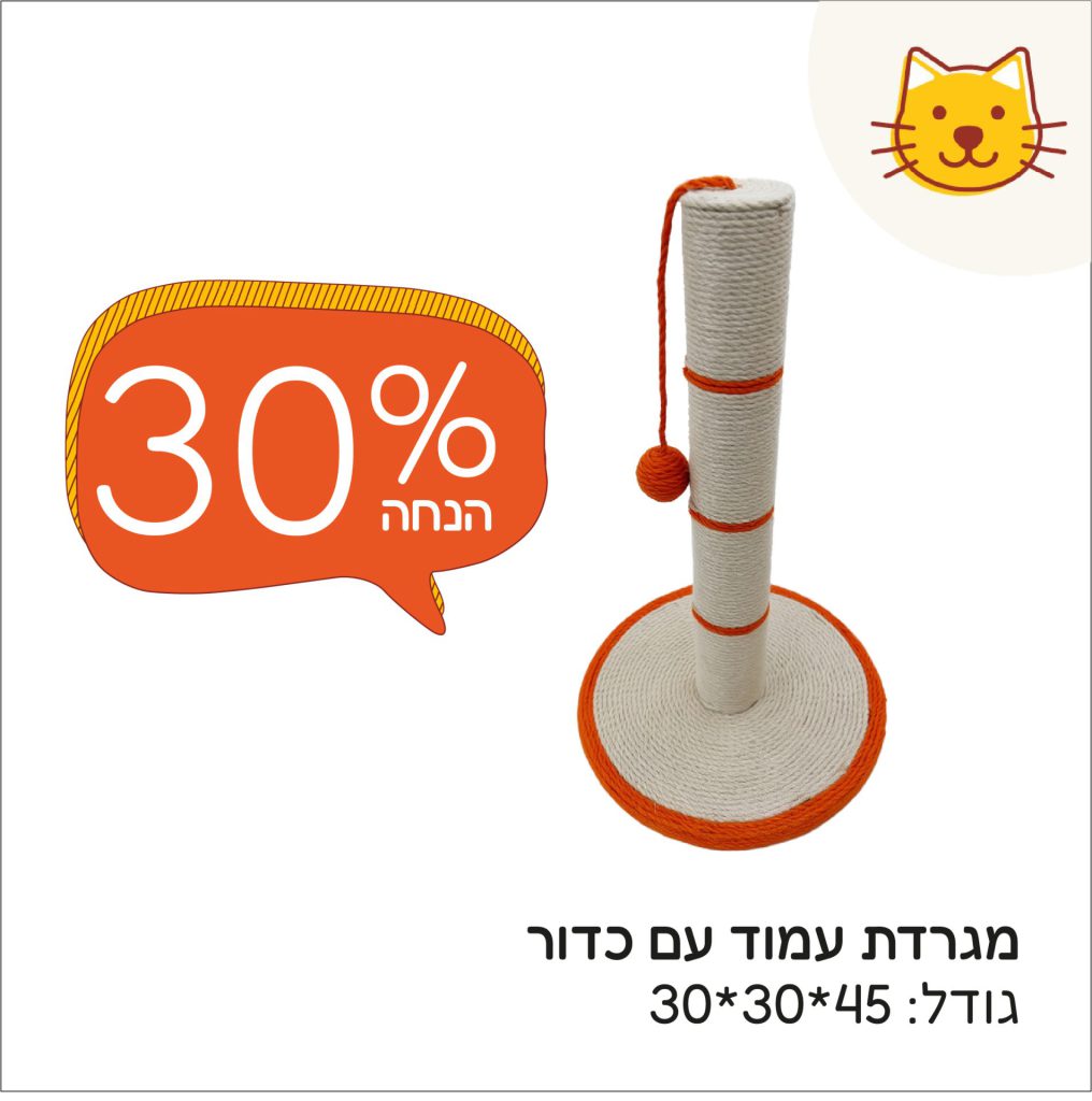 חתולים יולי 3