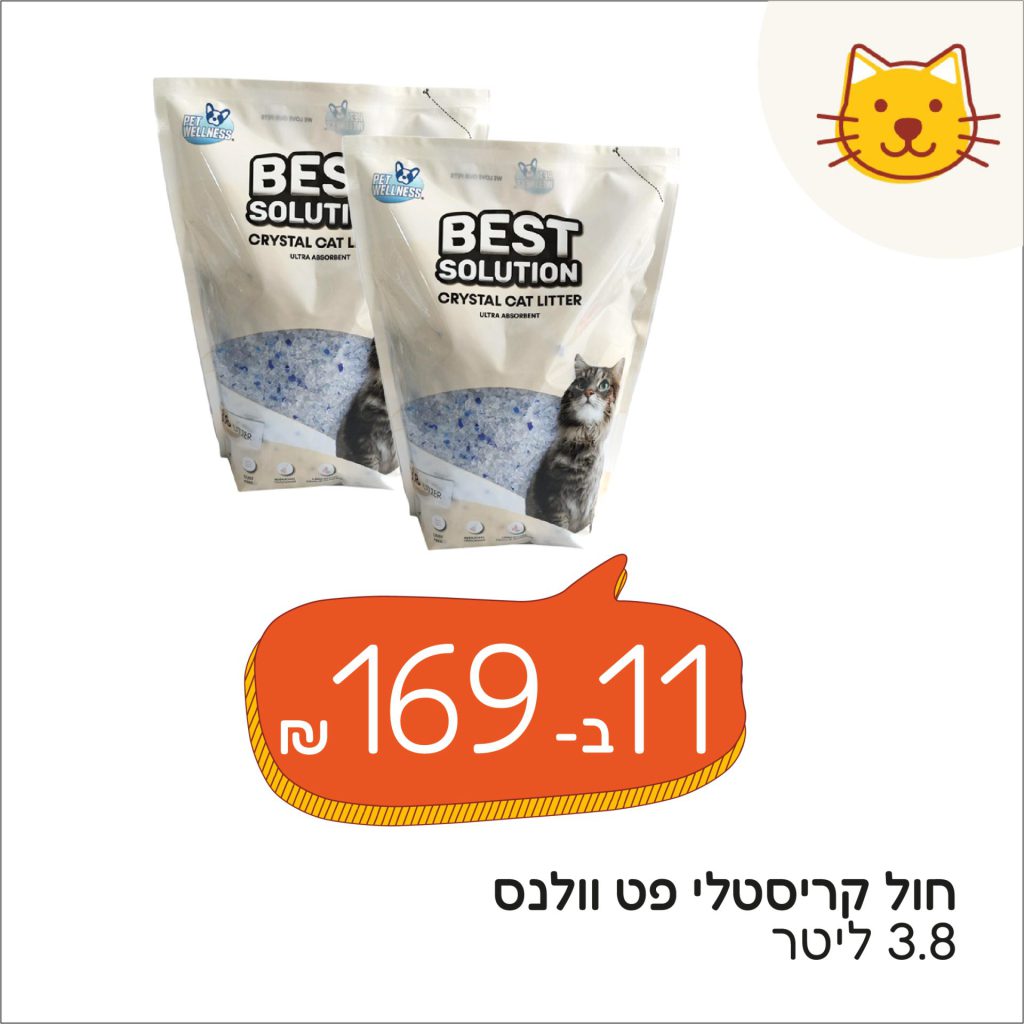 https://speedog.co.il/tag/%d7%97%d7%95%d7%9c-%d7%a7%d7%a8%d7%99%d7%a1%d7%98%d7%9c%d7%99-pet-wellnes-3-8-%d7%9e%d7%91%d7%a6%d7%a2-%d7%a7%d7%91%d7%95%d7%a2-11-%d7%99%d7%97-%d7%91-199-%d7%a9%d7%97/