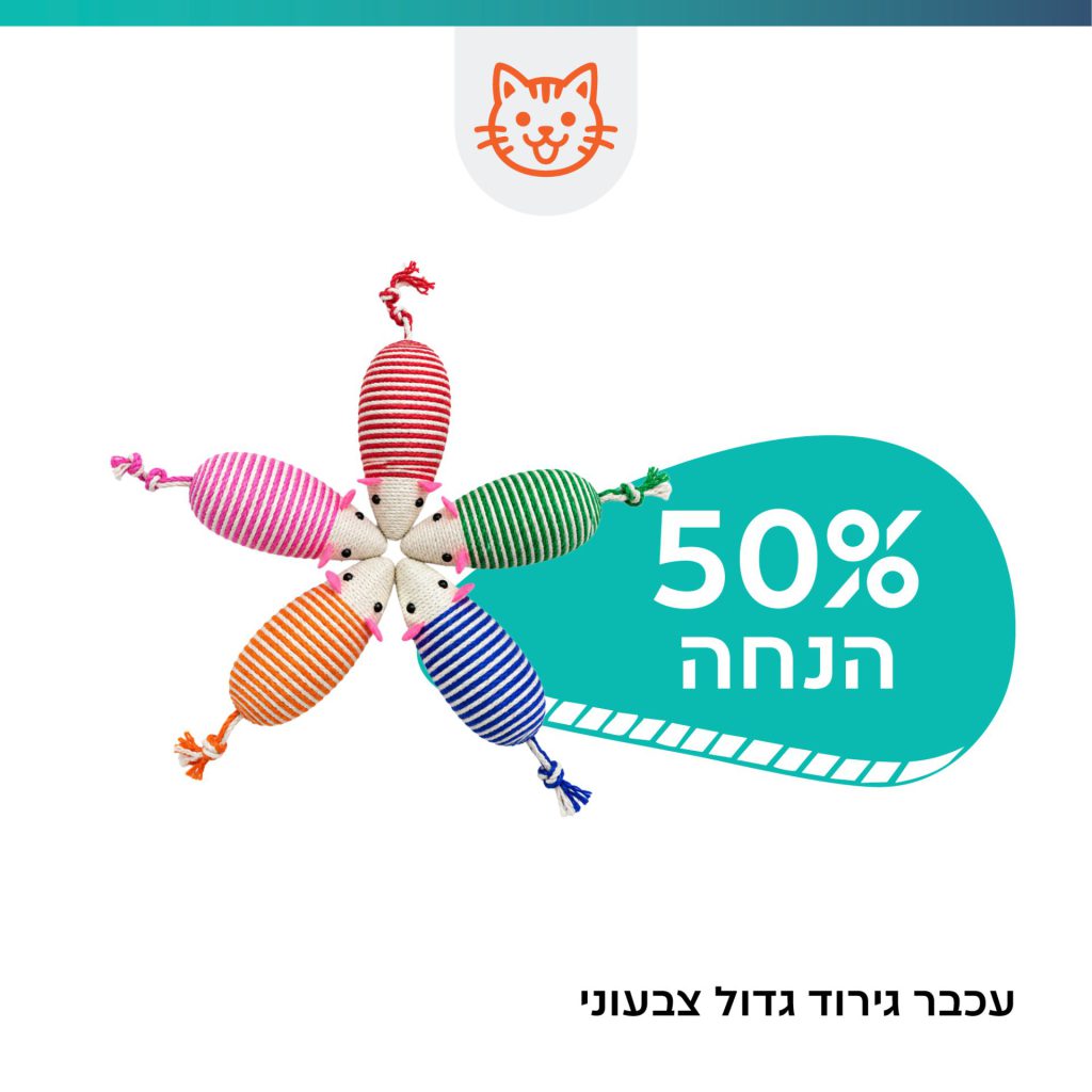 https://speedog.co.il/tag/%d7%90%d7%95%d7%a7%d7%98%d7%95%d7%91%d7%a8-2026-%d7%a2%d7%9b%d7%91%d7%a8-%d7%92%d7%99%d7%a8%d7%95%d7%93-%d7%92%d7%93%d7%95%d7%9c-%d7%a6%d7%91%d7%a2%d7%95%d7%a0%d7%99-%d7%9150-%d7%94%d7%a0%d7%97/